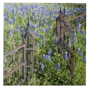 Lupine en flox rond kerkhofhek tegeltje