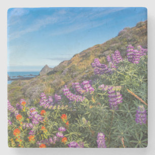 Lupine- en verfkwast-wilde bloemen stenen onderzetter