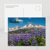 Lupine in Bloom Alaskan Briefkaart (Voorkant / Achterkant)