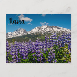 Lupine in Bloom Alaskan Briefkaart
