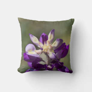 Lupine Kussen