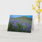 Lupine lente bloei blanco kaart (Gele Bloem)