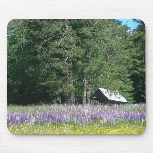 Lupine Muismat (Voorkant)