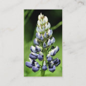Lupine Natuur Visitekaartje (Achterkant)