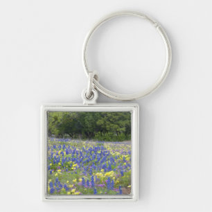 Lupine, sleutelbloem en flox sleutelhanger