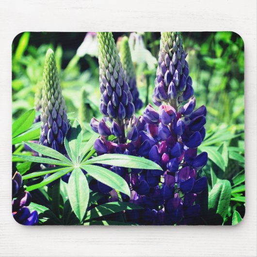 Lupine Trio Flower Muismat (Voorkant)
