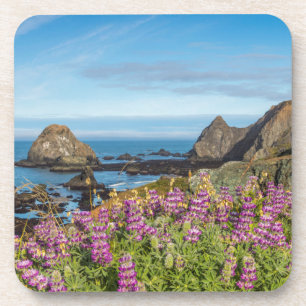 Lupine-wildebloemen bedekken de heuvels onderzetter