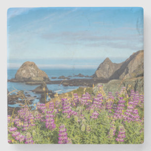 Lupine-wildebloemen bedekken de heuvels stenen onderzetter