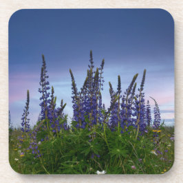 Lupinen bier onderzetter