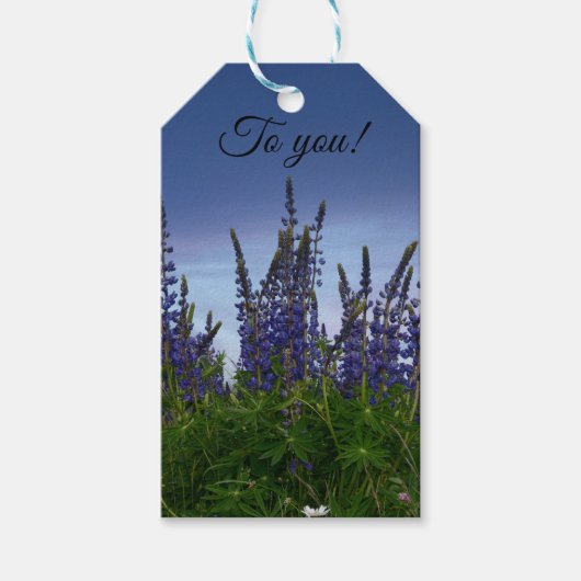 Lupinen cadeaulabel (Voorkant)