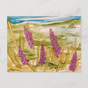 Lupinen in het wild briefkaart