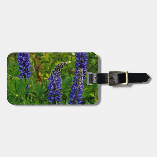Lupines Bagagelabel (Voorkant horizontaal)