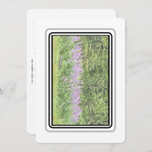 Lupines - Big Bay Rd 2023 Carte pour notes (Devant / Derrière)