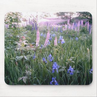 Lupines en Irises Muismat