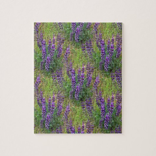 Lupines Galore... Legpuzzel (Verticaal)