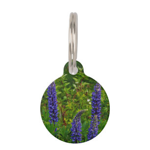 Lupines Huisdierpenning