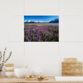 Lupines in Bloom | Keniaanse bergen, Alaska Poster (Keuken)