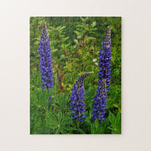 Lupines Legpuzzel (Verticaal)