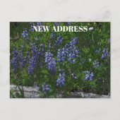 Lupins Change of Address Briefkaart (Voorkant)