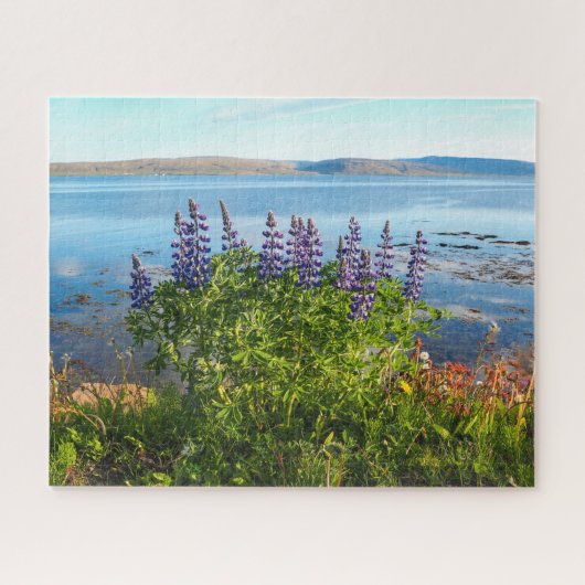 Lupins par un fjord islandais Jigsaw Puzzle (Horizontal)
