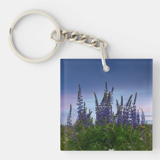 Lupins Sleutelhanger (voorkant)