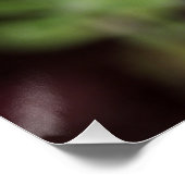 Lupinus texensis - affiche du Texas Bluebonnet (Coin)