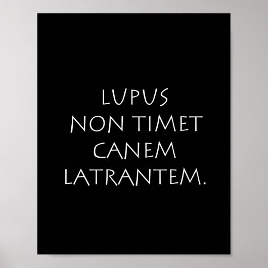 Lupus niet-timet canem latrantem poster (Voorkant)