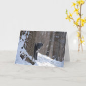 Lurcher derrière un arbre - cartes de voeux (Fleur jaune)