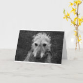 Lurcher Kaart (Gele Bloem)