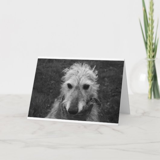 Lurcher Kaart (Voorkant)