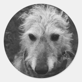 Lurcher Ronde Sticker