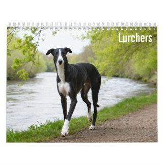 Lurchers 2027 wandkalender kalender