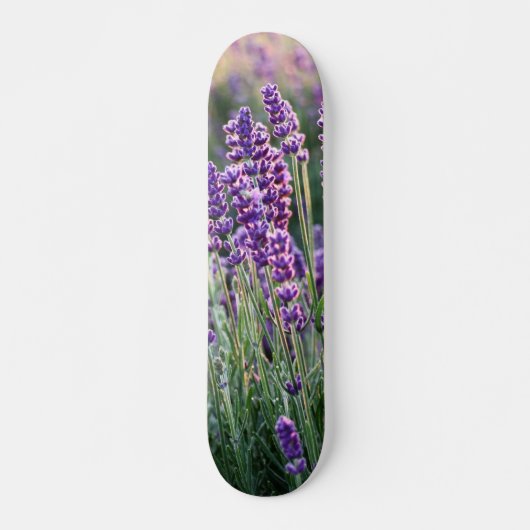 Luscious Lavender Skateboard (Voorkant)