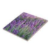 Luscious Lavender Tegeltje (Zijkant)