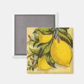 Luscious Lemons Magneet (Voorkant / Achterkant)