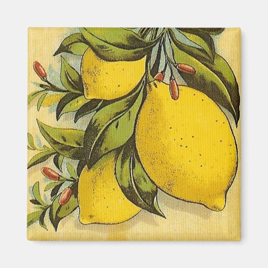 Luscious Lemons Magneet (Voorkant)