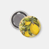 Luscious Lemons Magneet (Voorkant / Achterkant)