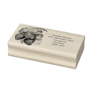Luscious Zomer Aardbei Adres Rubber Stempel