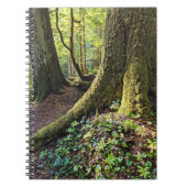 Lush Evergreen Forest Notitieboek (Voorkant)
