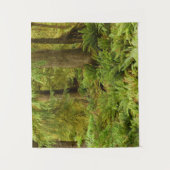 Lush Forest & Ferns | Ecola State Park, Oregon Wandkleed (Voorkant)