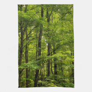 Lush Green Forest Acrylic Print Theedoek
