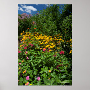 Lush Green Garden Poster