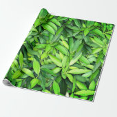 Lush Green Leaves Pattern – Natuur Botanisch Cadeaupapier (Uitgerold)