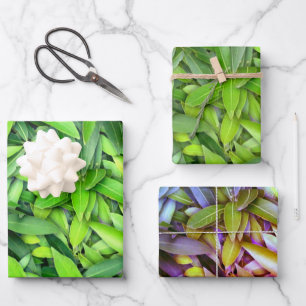 Lush Green Leaves Pattern – Natuur Botanisch Inpakpapier Vel