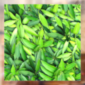 Lush Green Leaves Pattern – Natuur Botanisch Raamsticker (Vel 2)