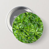 Lush Green Leaves Pattern – Natuur Botanisch Ronde Button 7,6 Cm (Voorkant /achterkant)