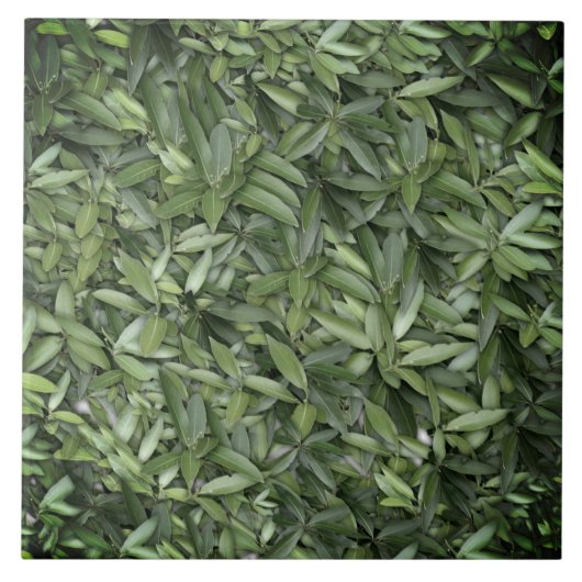 Lush Green Leaves Pattern – Natuur Botanisch Tegeltje (Voorkant)