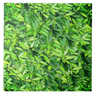 Lush Green Leaves Pattern – Natuur Botanisch Tegeltje