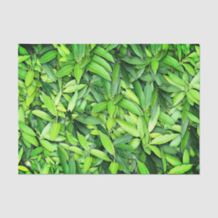 Lush Green Leaves Pattern – Natuur Botanisch Tissuepapier