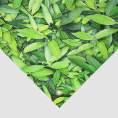 Lush Green Leaves Pattern – Natuur Botanisch Tissuepapier (Detail)